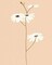 Serene Florals I Poster Print by Design Show - Item # VARPDX49198